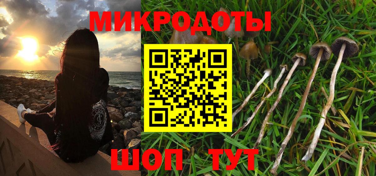 Туапсе  Псилоцибиновые грибы Psilocybine cubensis  Вход с VPN 