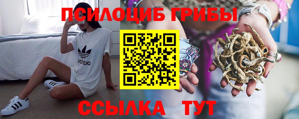 Псилоцибиновые грибы Psilocybine cubensis Туапсе